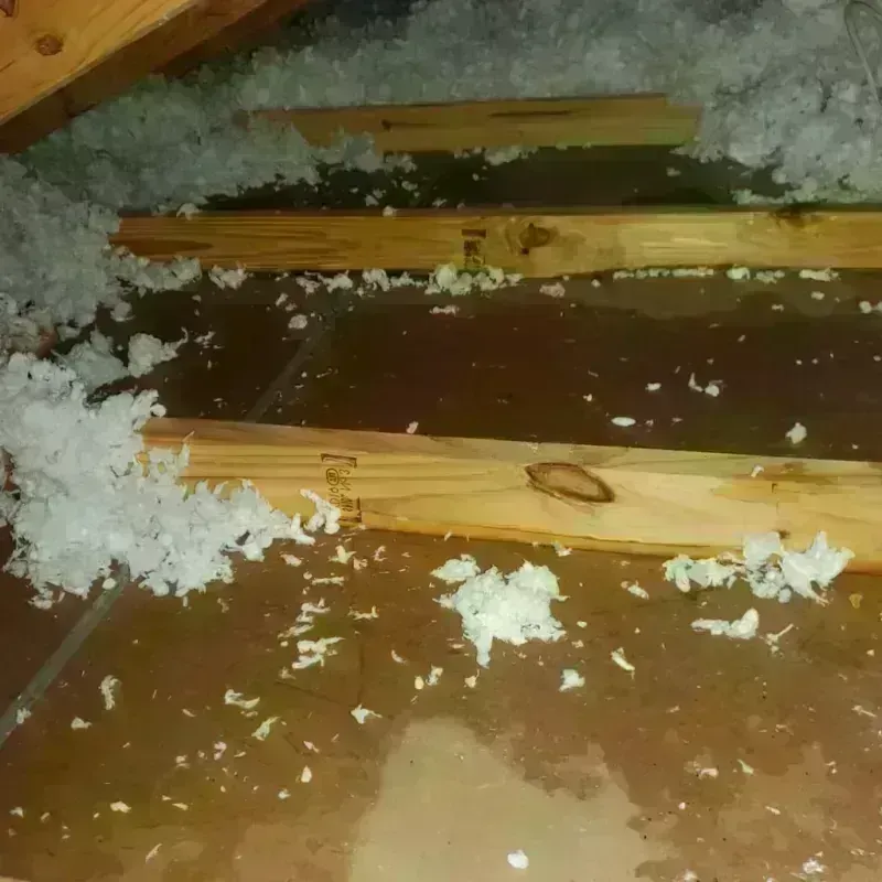 Attic Water Damage in Purchase, NY